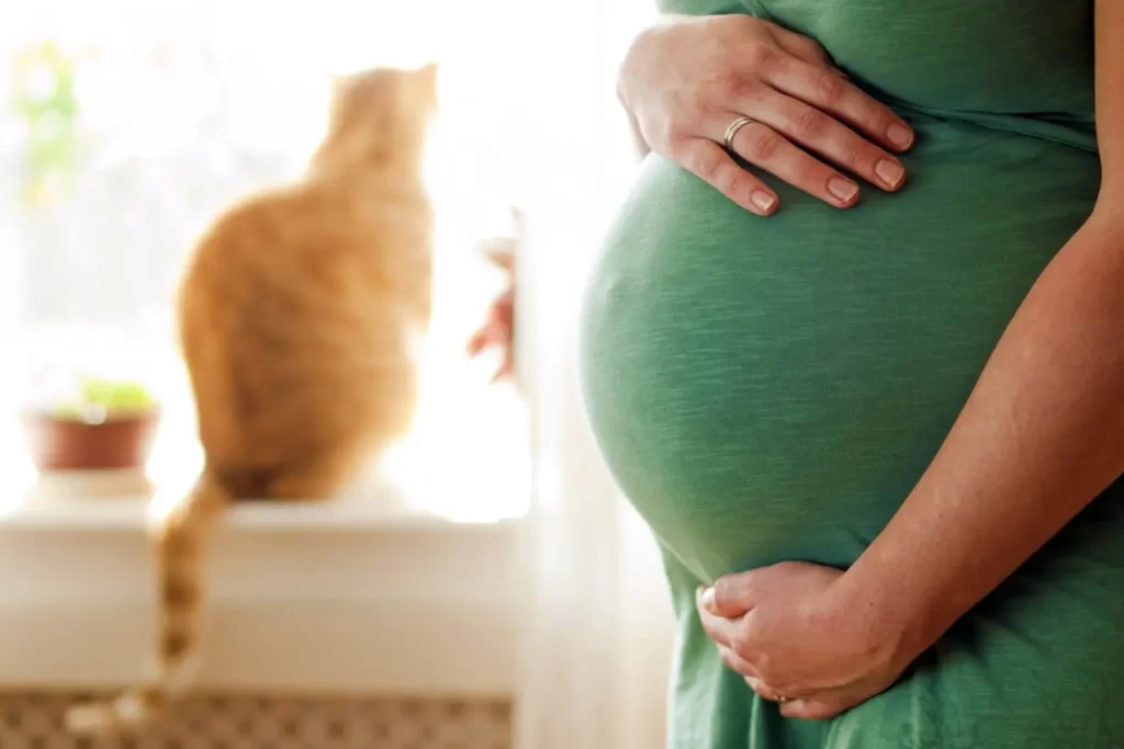 Беременность и животные в доме